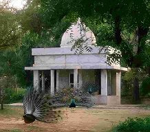 प्रकृति की गोद में आध्यात्म: श्री रामचंद्र सेवा धाम ट्रस्ट का एक अलौकिक दृश्य